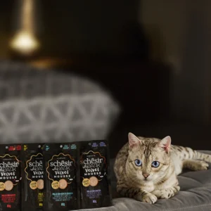 AFTER DARK Mousse Alimento per adulto 80gr  6 pezzi